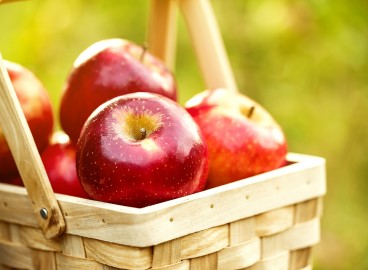 Les 3 plus grandes variétés de pommes : pour ceux qui aiment les grosses pommes