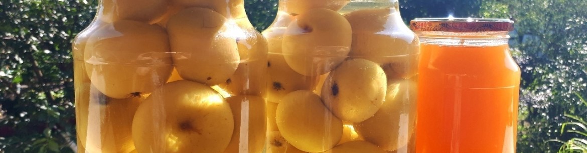 5 recettes de compote de pommes absolument délicieuses