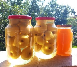 5 recettes de compote de pommes absolument délicieuses