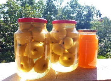 5 recettes de compote de pommes absolument délicieuses