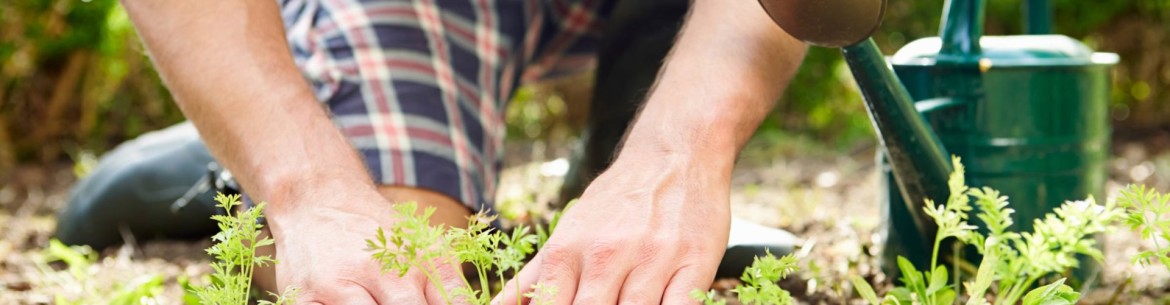 Jardinage en avril : que faire au jardin ?