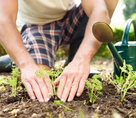 Jardinage en avril : que faire au jardin ?