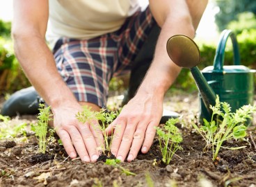 Jardinage en avril : que faire au jardin ?