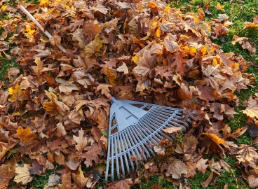 Comment traiter le sol en automne contre les maladies et les ravageurs