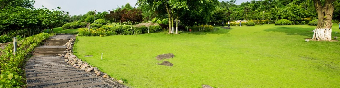 Comment créer des chemins sur votre terrain : un aperçu des matériaux et une foule d’idées