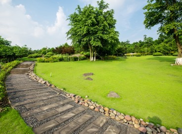 Comment créer des chemins sur votre terrain : un aperçu des matériaux et une foule d’idées