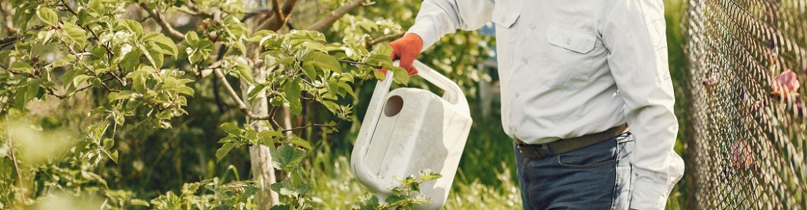 Traiter son jardin à l'urée en automne : comment protéger les arbres contre les ravageurs et les maladies