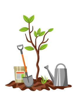 Pommier Anis Sverdlovsk : caractéristiques de la variété et entretien