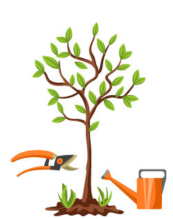 Pommier Anis Sverdlovsk : caractéristiques de la variété et entretien