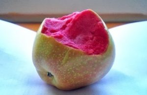 Pommier Pink Pearl : Variété et conseils d’entretien