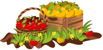 Que faire si une branche de pommier casse : réparer, renforcer et sceller