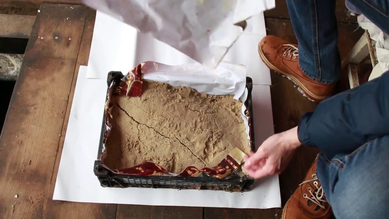Préparation et conservation des boutures de pommiers en vue du greffage printanier