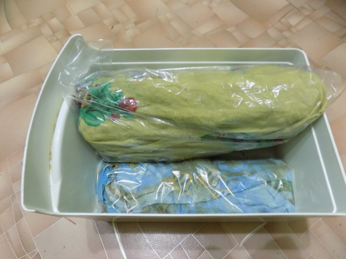 Préparation et conservation des boutures de pommiers en vue du greffage printanier