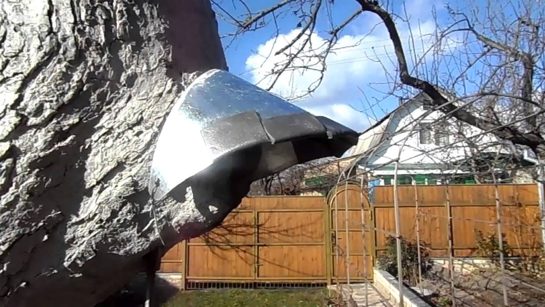 Comment soigner et boucher une cavité dans un pommier : Traitement du tronc selon les règles