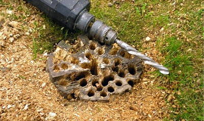 Comment déraciner un pommier : les meilleures méthodes pour enlever rapidement une souche d’un terrain