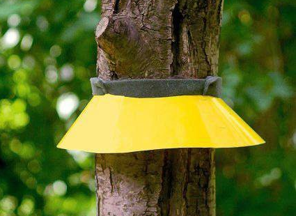 ceinture de piégeage en entonnoir