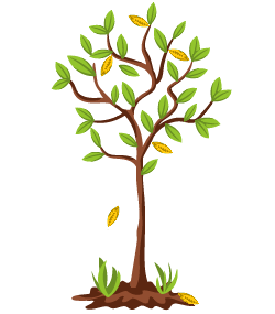 Cancer du pommier noir : photos, symptômes et traitement