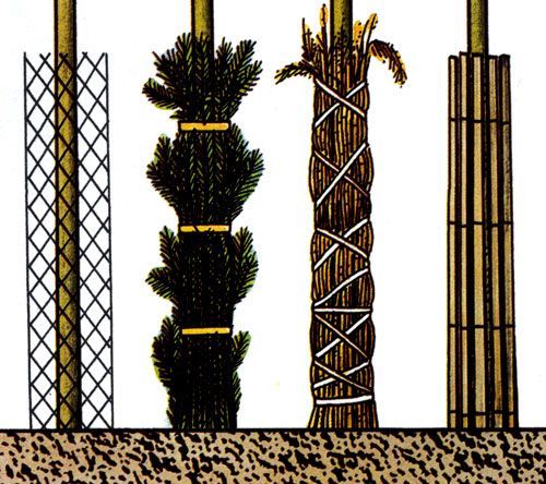 Préparation des pommiers pour l'hiver en Sibérie : comment les isoler et les protéger à 100 % du gel
