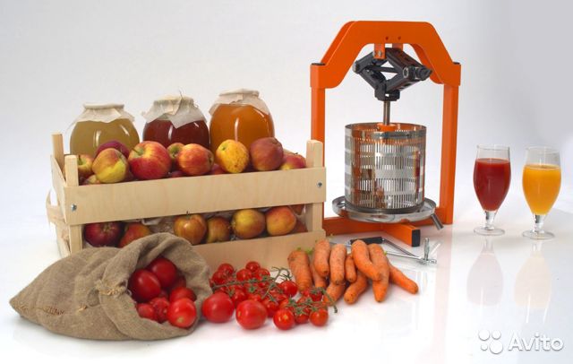 Comment choisir un extracteur de jus pour fruits et légumes