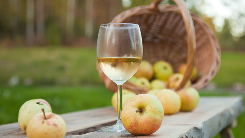 Comment utiliser la pulpe de pomme récupérée à la centrifugeuse : 5 recettes originales