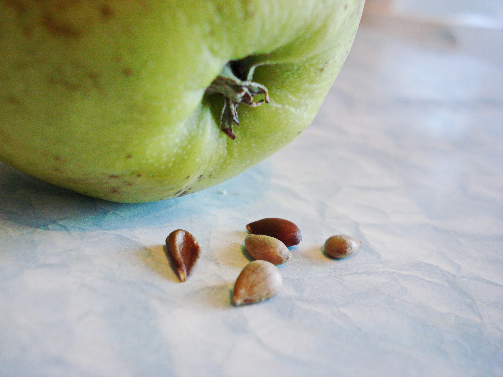 Quels sont les avantages et les dangers des pépins de pomme et que se passe-t-il si on les mange ?