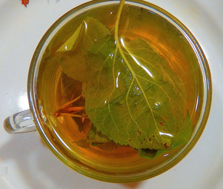 Comment faire fermenter des feuilles de pommier pour le thé