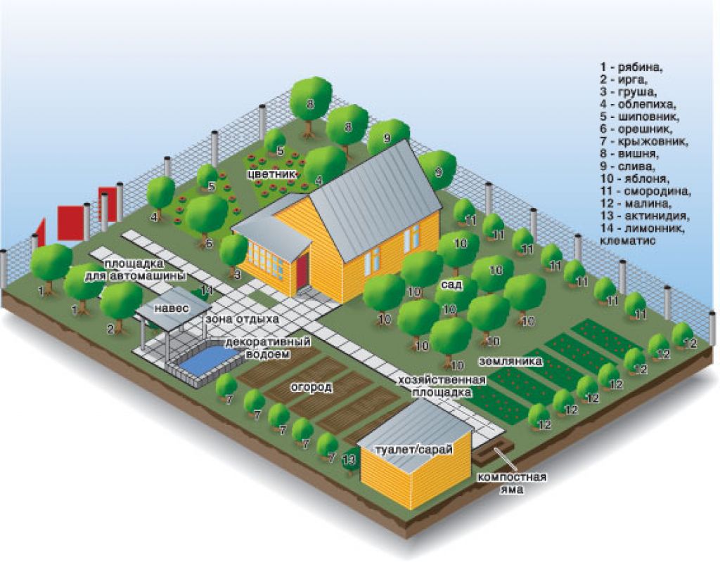 Comment disposer les arbres fruitiers sur un terrain : déterminer l’aménagement du jardin