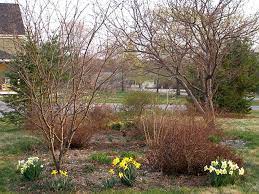 Jardinage en mars : comment obtenir une bonne récolte