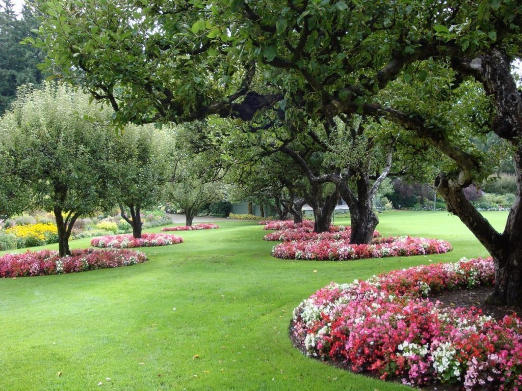 Comment disposer les arbres fruitiers sur un terrain : déterminer l’aménagement du jardin
