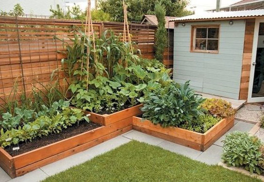 Comment bien planifier un jardin et un potager : une liste de règles importantes