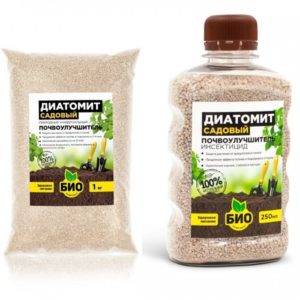 Qu’est-ce que la terre de diatomées et comment l’utiliser au jardin : conseils importants