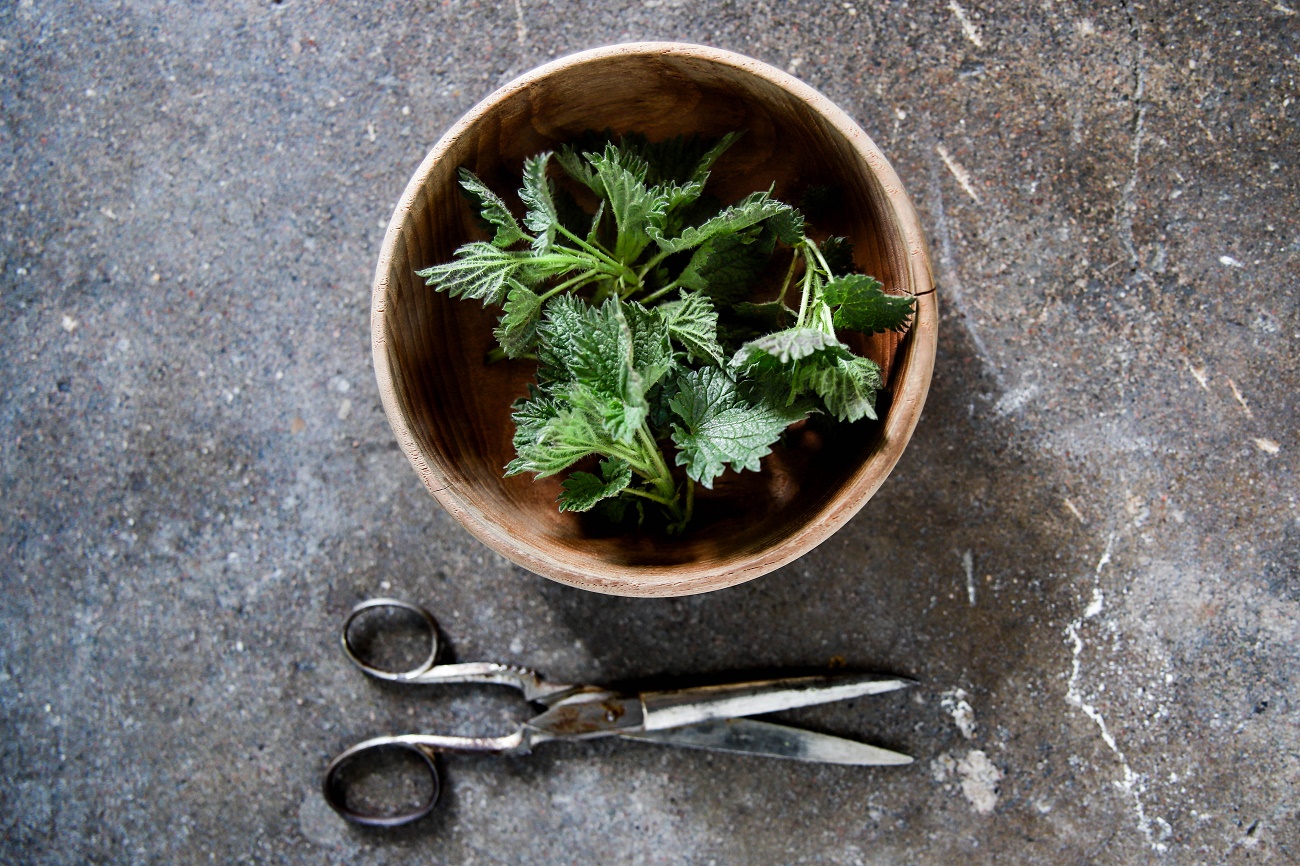 Como se livrar das urtigas no seu jardim