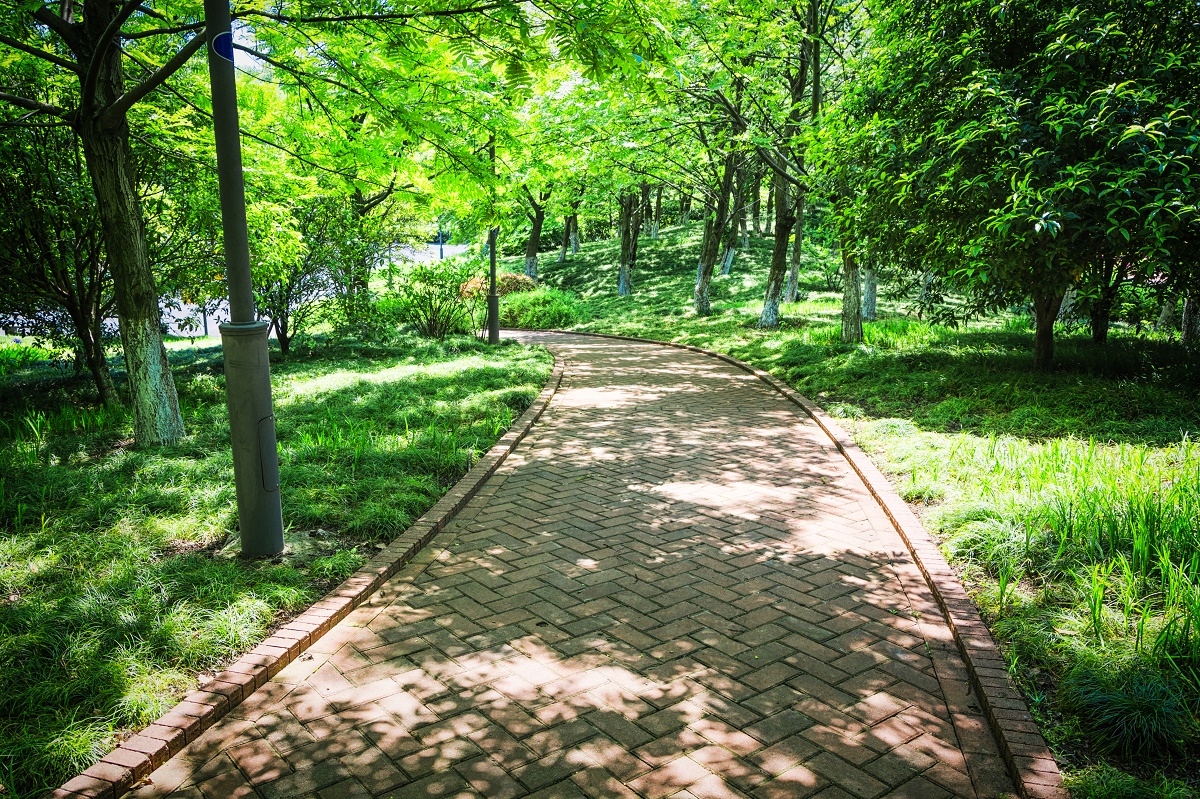 Comment créer des chemins sur votre terrain : un aperçu des matériaux et une foule d’idées