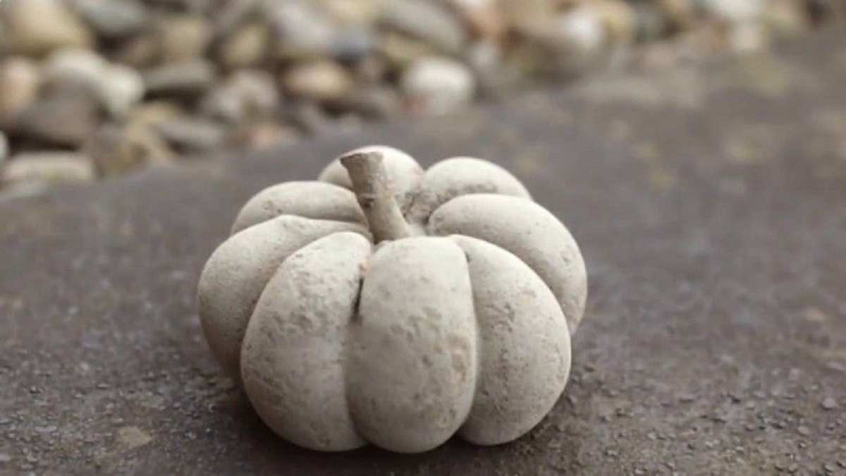 Décorez votre jardin avec des créations en ciment à faire soi-même : idées intéressantes et instructions étape par étape