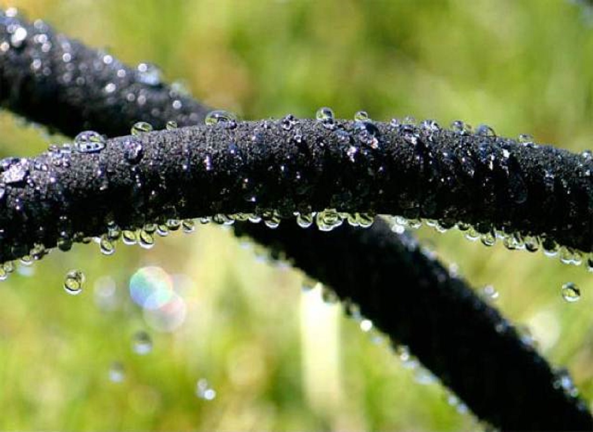 Quel tuyau d'arrosage choisir : il faut en choisir un qui soit durable et résistant aux pliures.